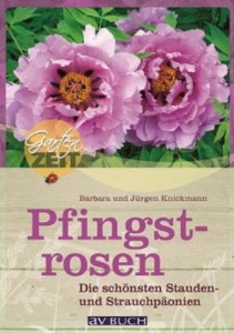 buch_pfingstrosen