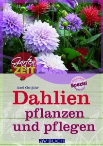 buch_dahlien