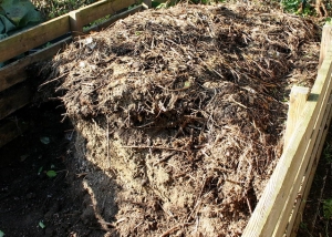 kompost1