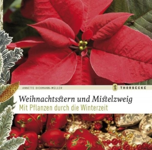 Buch Weihnachtstern und Mistelzweig