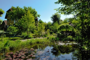 Gartenteich