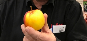 Der verbotene Apfel