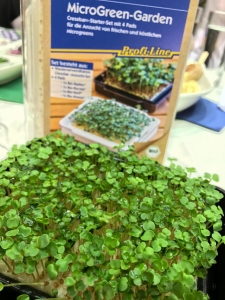 Mikrogreen-Pflanzen