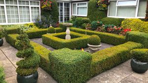 England 2018 - The Beeches - ein privater Garten eines Perfektionisten