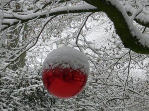 Siegerbild "Weihnachtlicher Gartenzauber"