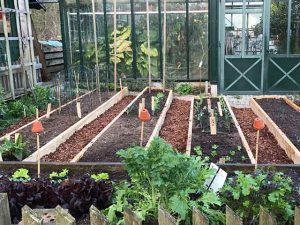 Frühling im Garten - die ersten Pflänzchen