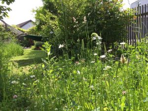 Natur im Garten