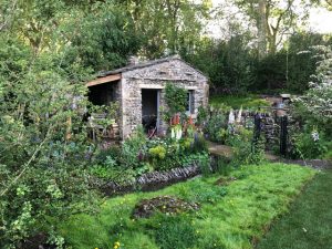 Chelsea Flower Show 2018