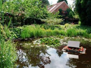 Garten in Ostfriesland