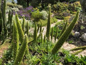 Gartenreise Mallorca