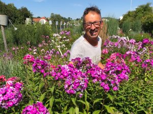 Christian Kress und sein Phlox Museum