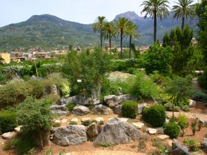 Mallorca - Botanischer Garten Soller