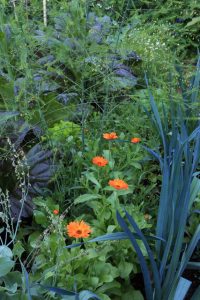 Herbst im Garten