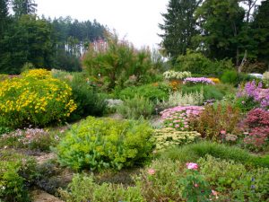 Herbstliche Staudenbeete