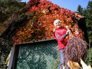 Laubzeit im Garten