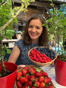 Himbeeren, Heidelbeeren, Erdbeeren