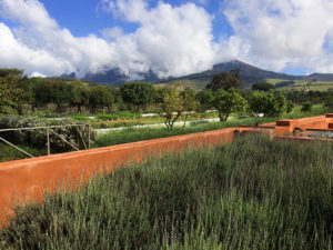 Babylonstoren