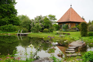 Natur im Garten bei Rosemarie Wintersteiger in Graz (Bild: ORF/Talk TV/Natur im Garten/Leopold Mayrhofer)