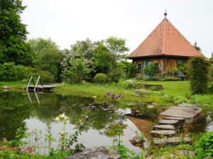 Natur im Garten bei Rosemarie Wintersteiger in Graz (Bild: ORF/Talk TV/Natur im Garten/Leopold Mayrhofer)