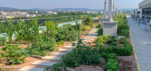 Urban Gardening im 23. Bezirk in Wien