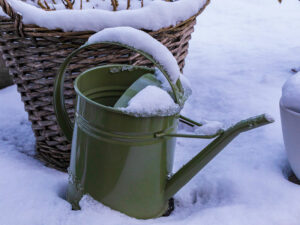 Gießkanne im Schnee