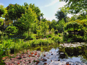 Plobergers Natur-Biotop