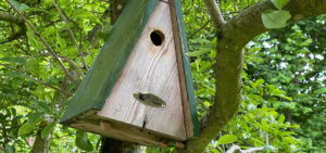 Vogelhaus, Nistkasten