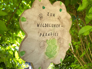 Wildblumenparadies