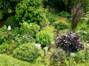 Natur im Garten in Tulbing (Bild: ORF/Heribert Fuchs)