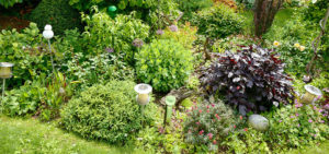 Natur im Garten in Tulbing (Bild: ORF/Heribert Fuchs)