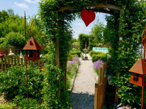 Natur im Garten in Arbing (Bild: ORF/L. Mayrhofer)