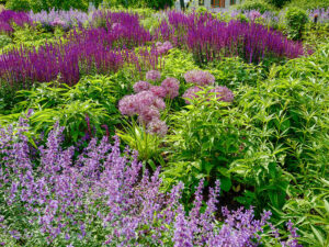 Natur im Garten in Tulln (Bild: ORF/Heribert Fuchs)