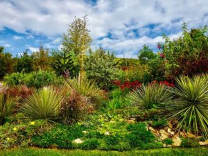 Natur im Garten (Bild: ORF/H. Fuchs)