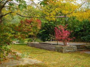 Natur im Garten (Bild: ORF/L. Mayrhofer)