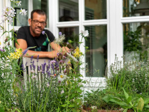 Garteln am Balkon mit Wildblumen