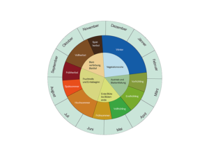 Phänologischer Kalender