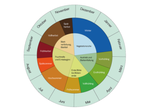 Phänologischer Kalender