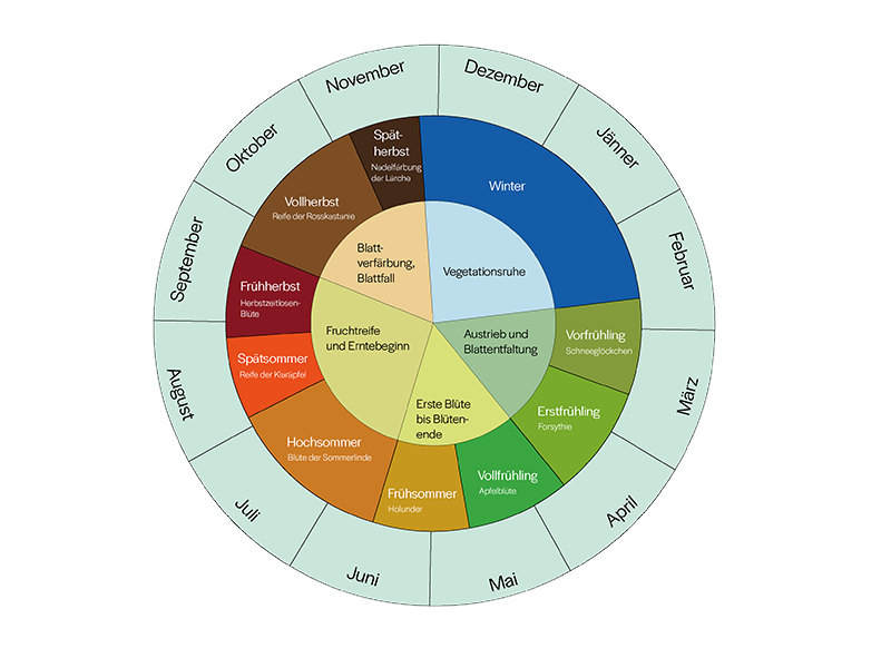 Phänologischer Kalender - Biogärtner
