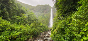 Tropischer Regenwald mit Wasserfall