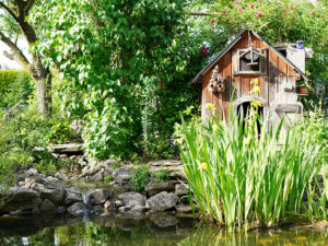 Natur im Garten (©Leopold Mayrhofer/Natur im Garten)