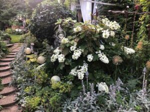 Ein elfenhafter Garten in Stubenberg (Bild: ORF/Talk TV/Lena Weithofer)