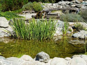 "Natur im Garten" in Reith im Alpbachtal (Bild: ©Leopold Mayrhofer/Natur im Garten)