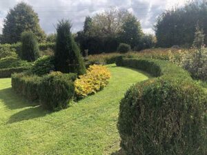 Natur im Garten in Schiedlberg (Bild: ORF/Talk TV/Lena Weithofer