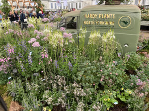 Chelsea Flower Show