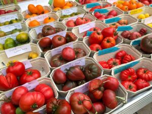 Verschiedene Tomatensorten - da ist für alle Geschmäcker was dabei