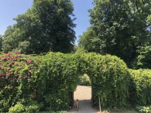 Natur im Garten (Bild: ORF/Talk-TV/Lena Weithofer)