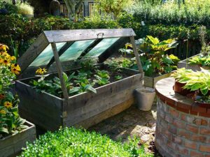 Natur im Garten (Bild: Leopold Mayrhofer/Natur im Garten)