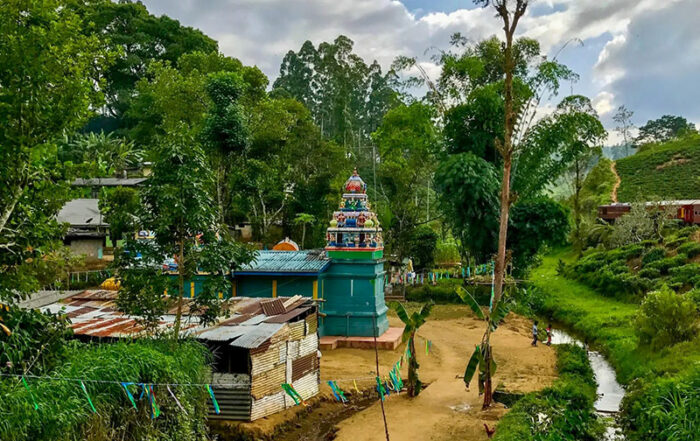 Gartenreise Sri Lanka