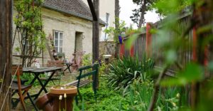 Natur im Garten (Bild: Leopold Mayrhofer/Natur im Garten)