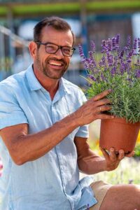 Ploberger mit Lavendel